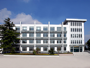 中国高岭土有限公司