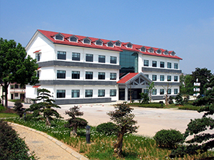 中国高岭土有限公司