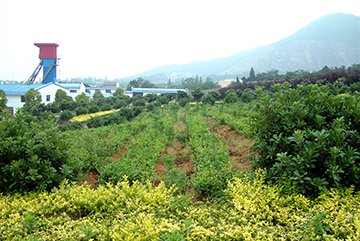 中国高岭土有限公司