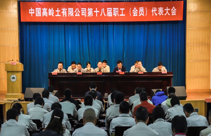 中国高岭土有限公司