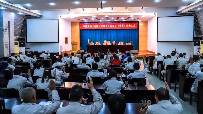 中国高岭土有限公司